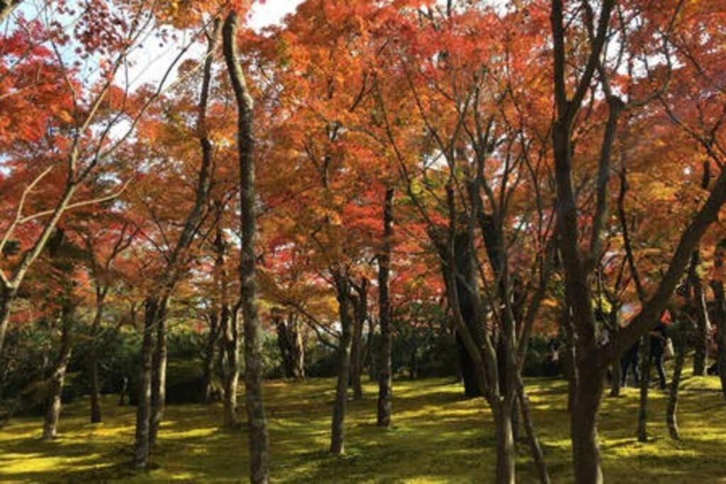 Ek House Shushinso 箱根修身荘 Holiday home